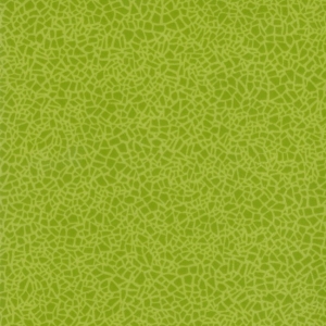 Acoustic-7-Color-388-662-275