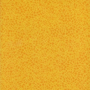 Acoustic-7-Color-388-664-275